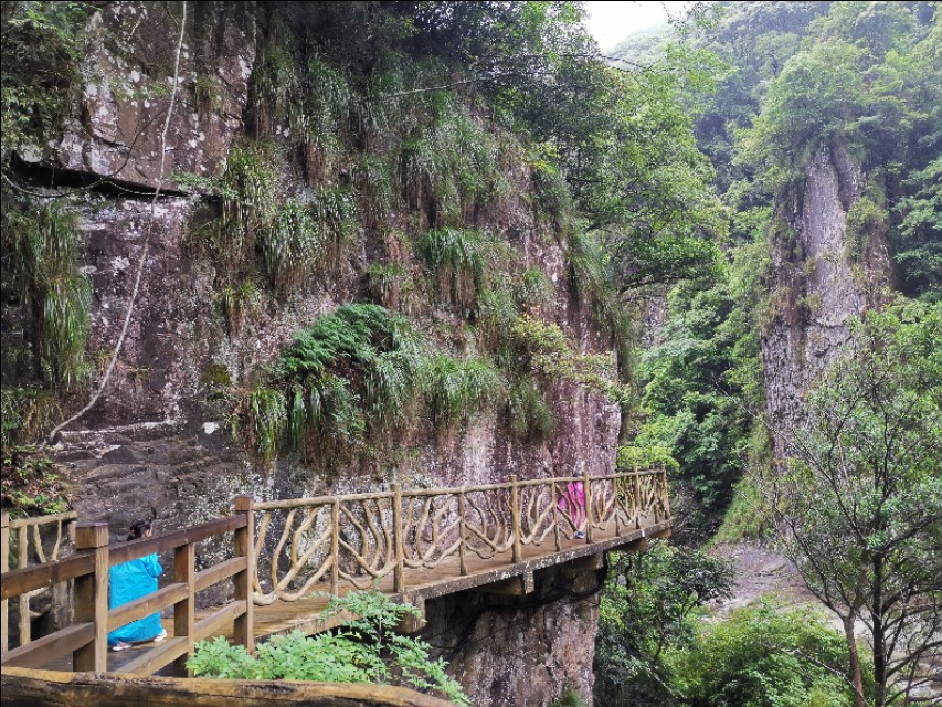 福建遛娃之戴云山,福州永泰遛娃好去处