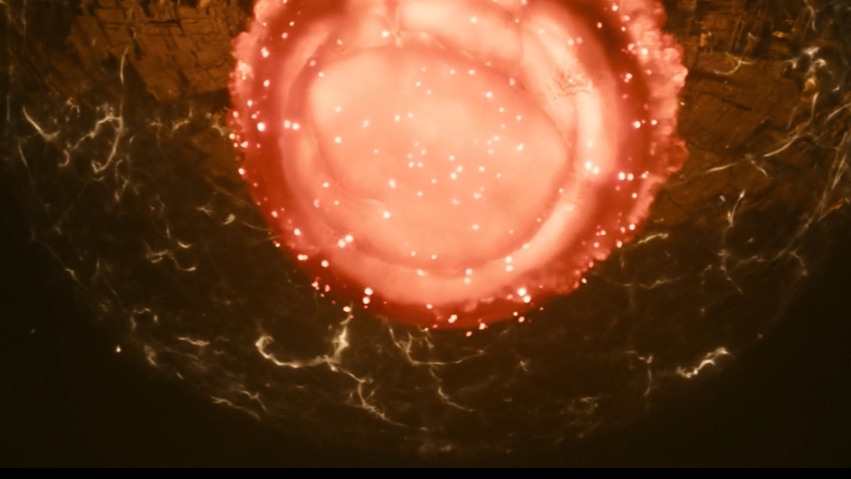 上海堡垒原著豆瓣分析,上海堡垒影评票房