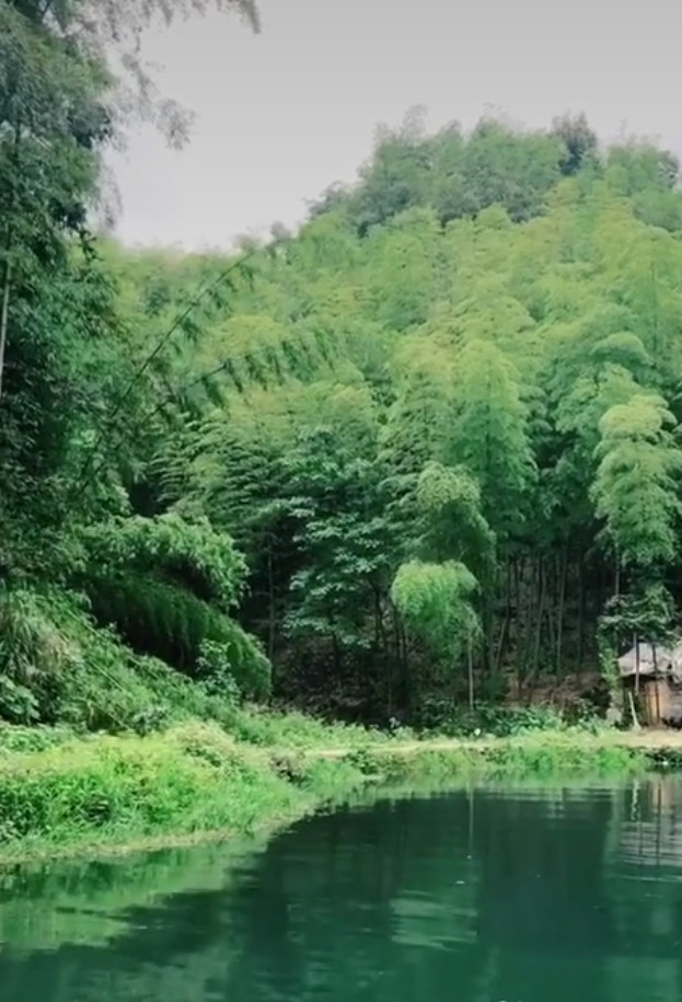 宜宾市长宁蜀南竹海,我的中国行