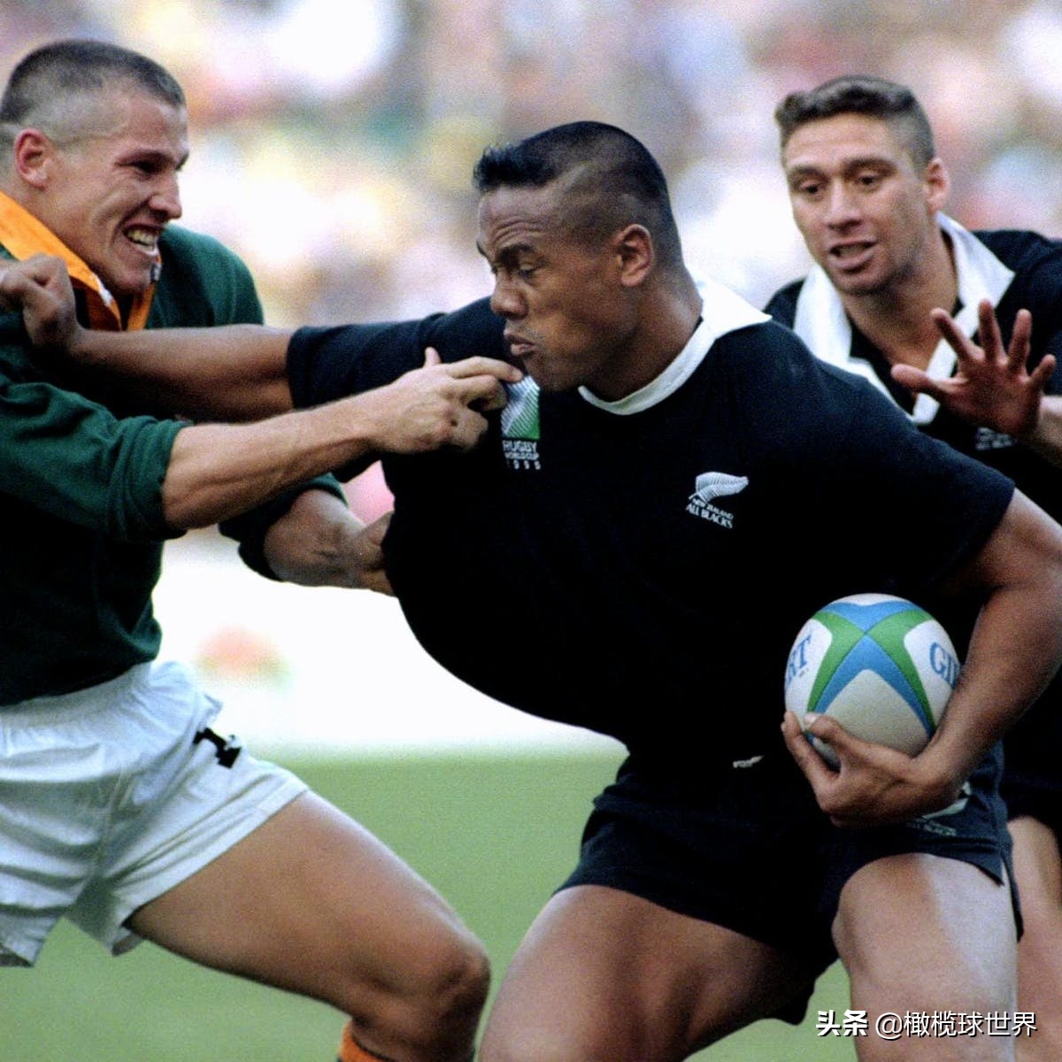 致敬罗莽,致敬罗慕洛