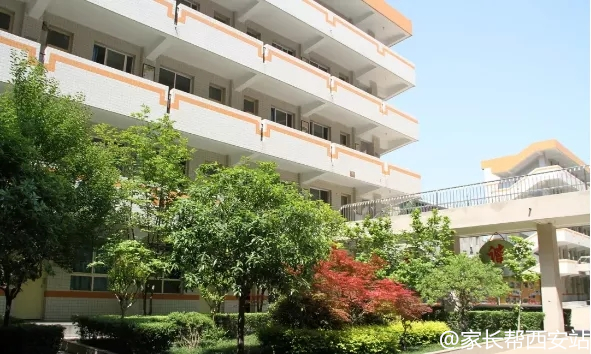 盛开的北郊一枝花——西安爱知中学