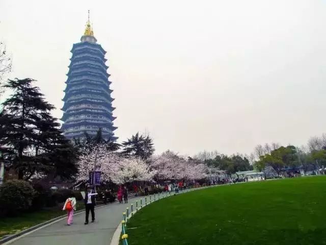 南通赏樱,江苏樱花景区介绍