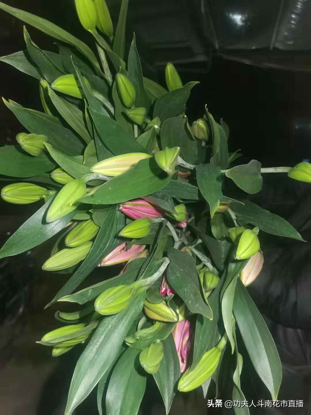 昆明鲜花一件代发对花店有影响吗,云南昆明鲜花一件代发合作平台