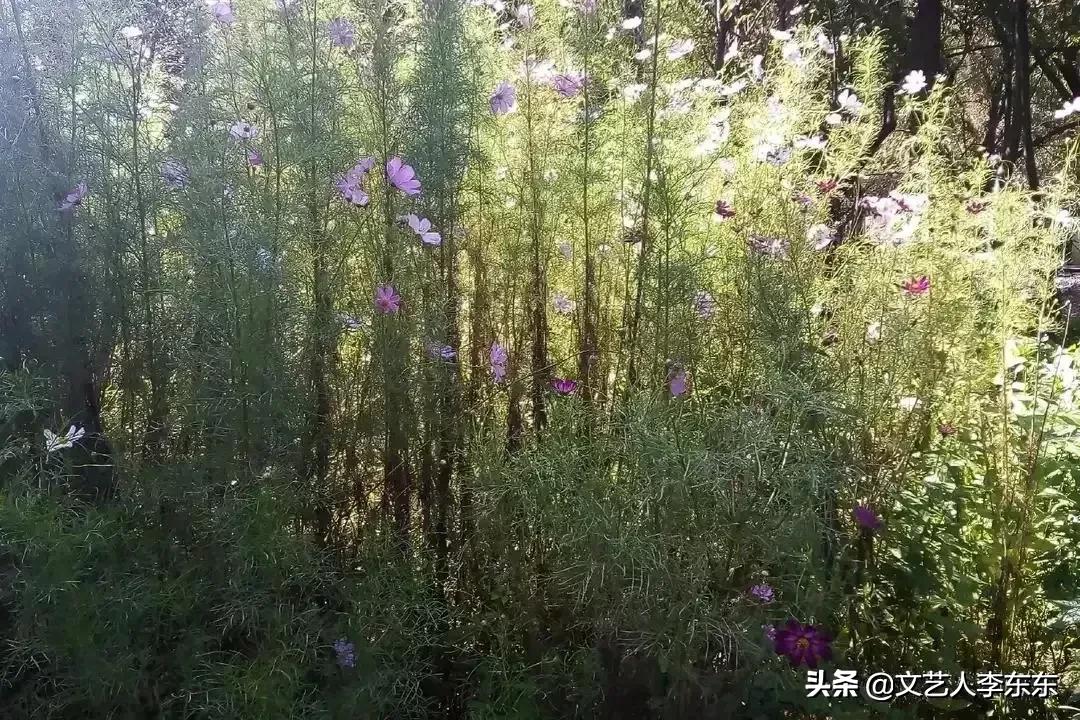 深圳火车站附近高档酒店,我来深圳今天才发现这么热闹