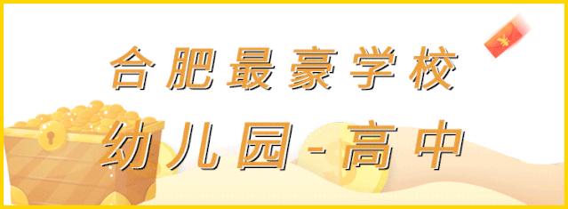 合肥十佳学校,合肥小学贵族学校排名