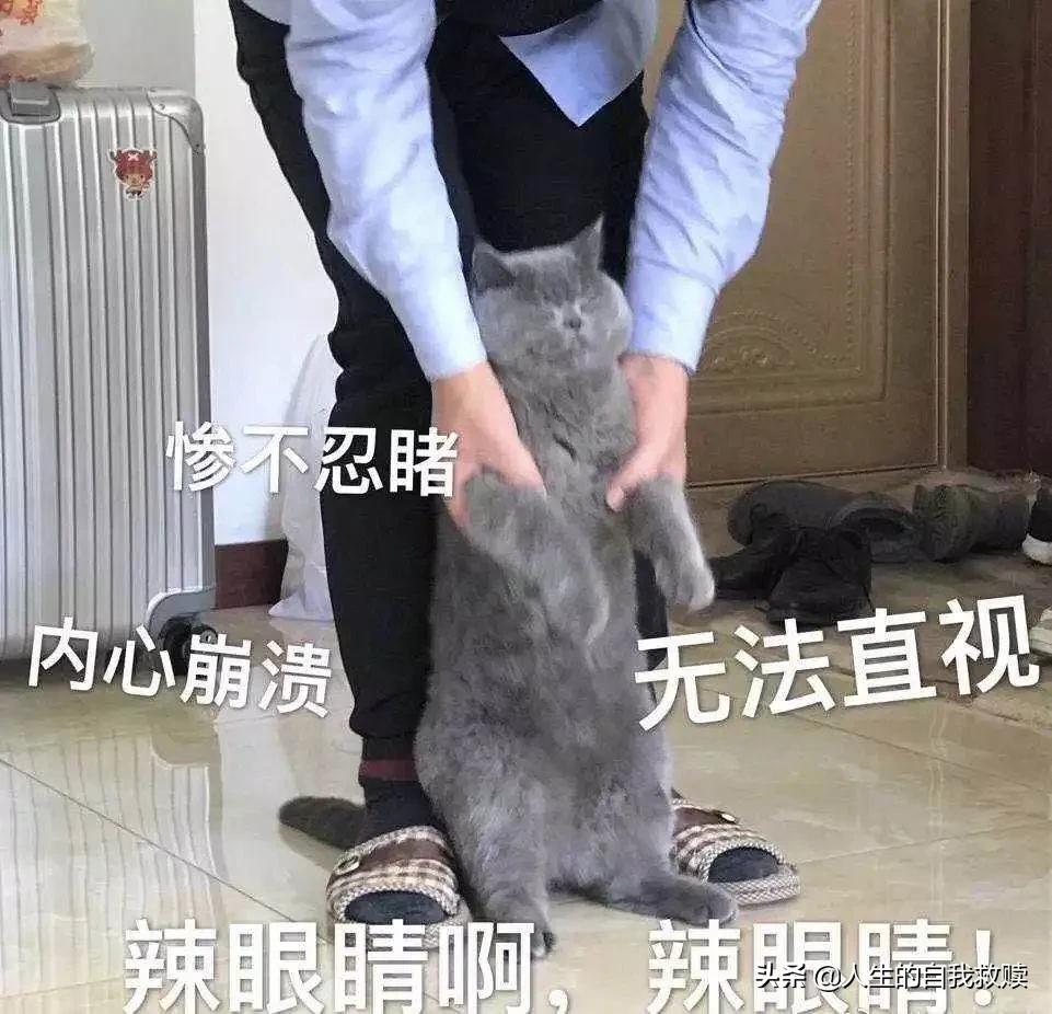 如果写错字扣钱，这届网友分分钟破产