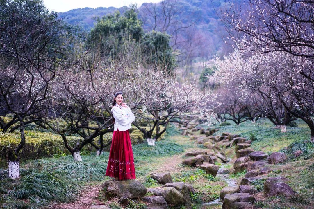 江南三大梅园,杭州江南三大梅花