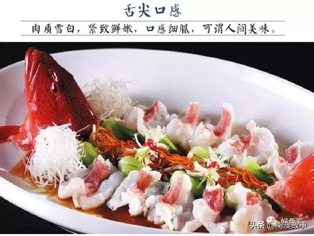 海鱼的做法大全家常视频,海鱼的30种家常做法收藏