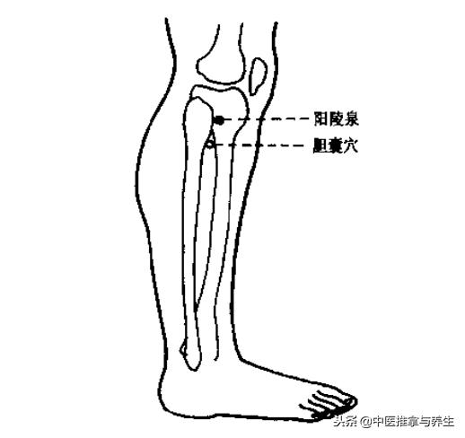 慢性胆囊炎穴位疗法,治疗慢性胆囊炎的穴位