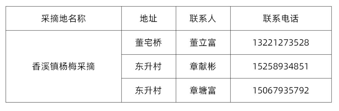 兰溪杨梅正式开摘！最强采摘攻略出炉，五十里杨梅长廊够吃吗？杨梅自由就是现在！