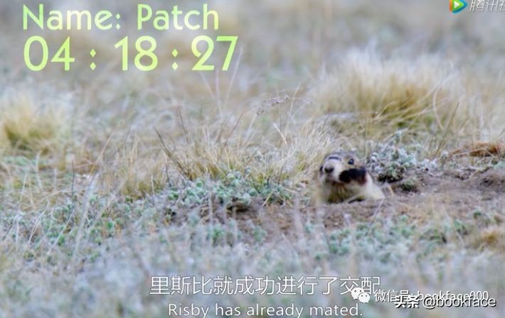 你这个坏怂，尽显渣之本色