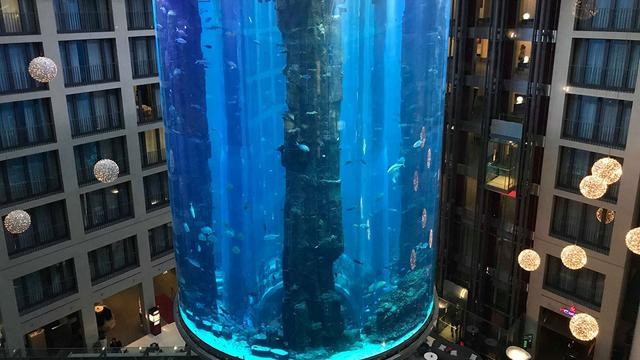 世界最大鱼缸酒店,世界上最大的水族楼