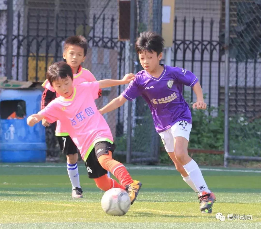 足球训练营公益,足球训练公益项目