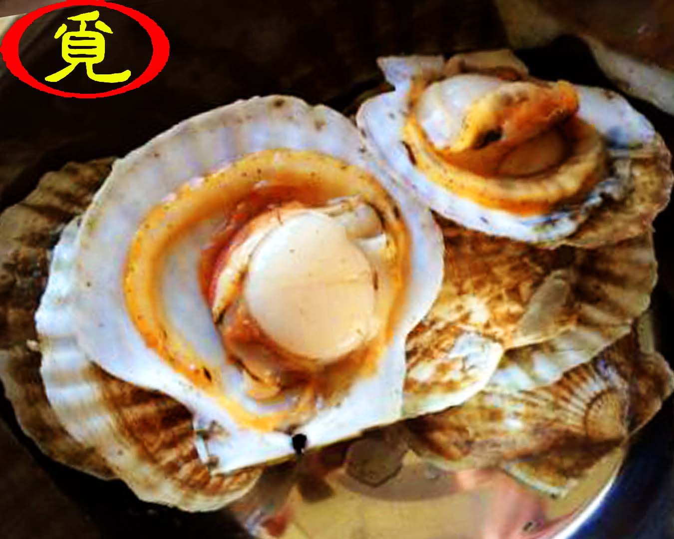 简单易做的蒜蓉粉丝蒸扇贝,家庭现成的蒜蓉粉丝蒸扇贝怎么弄