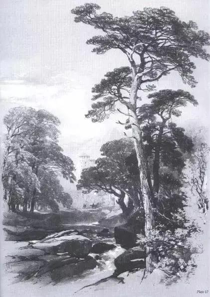 不会画风景咋办,不会画速写怎么办