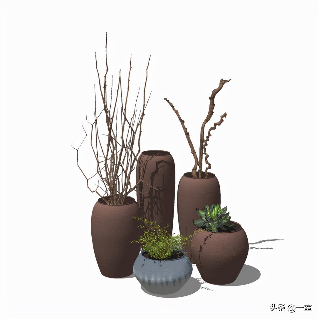 网红庭院植物搭配,网红绿植搭配技巧