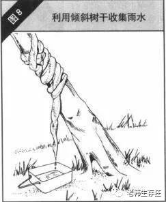 沙漠求生取水技巧,生存狂逃生技巧