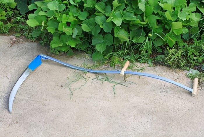 民国刀客们到盘锦割苇子，如果没有备齐“三件套”，基本没法干活