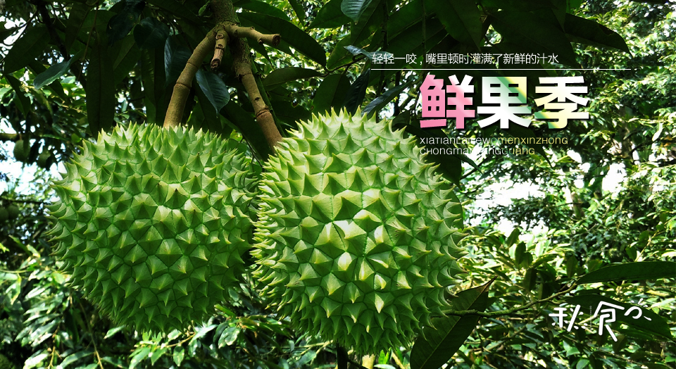 小满季节三种水果,小满季节三不吃夏天多吃什么水果