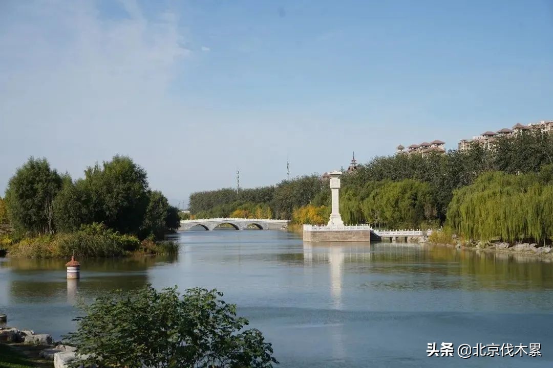 遛狗遛娃两不误这样养狗真是有趣,简直是周末遛娃遛狗的绝佳场地