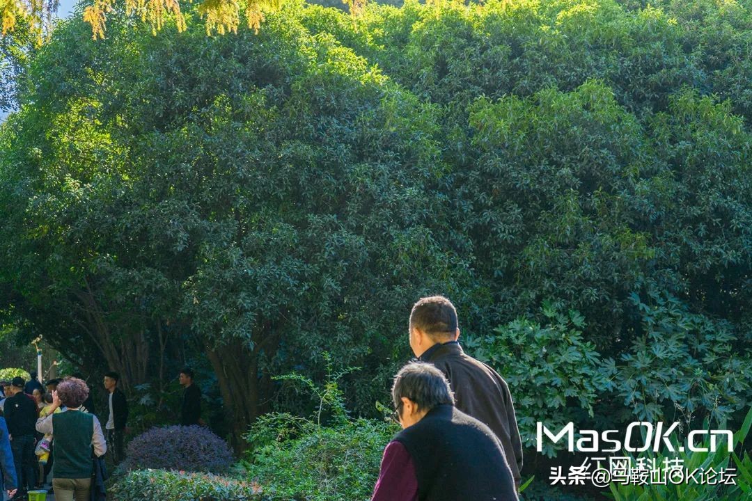 马鞍山深度体验,在马鞍山生活过的人