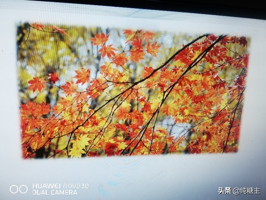 三年级上册山行杜牧唐诗,山行全部笔记