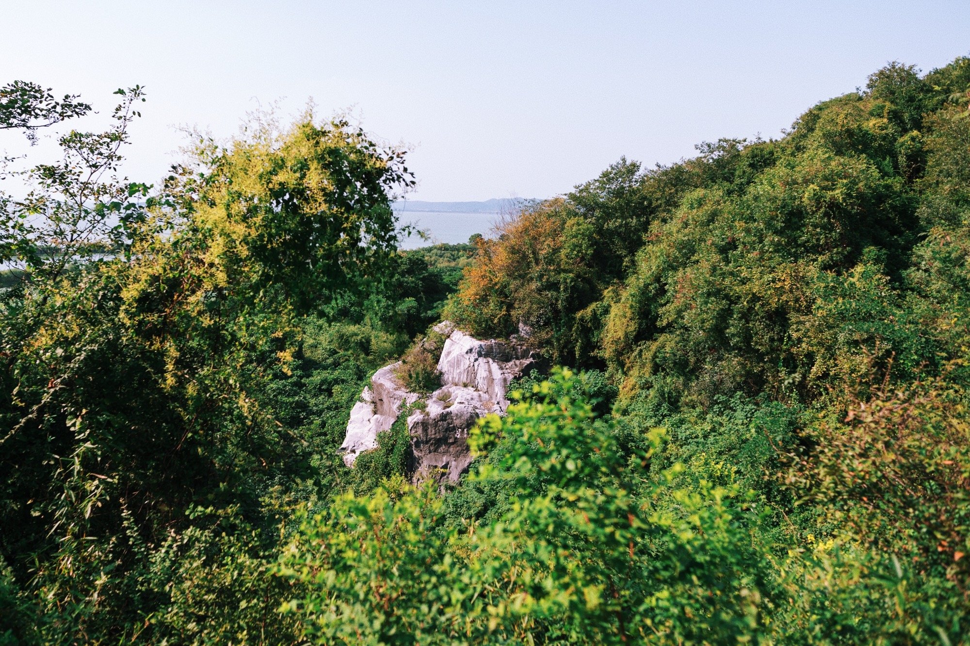 太湖不止有无锡鼋头渚，还有一座被誉为“小蓬莱”的岛，就在苏州