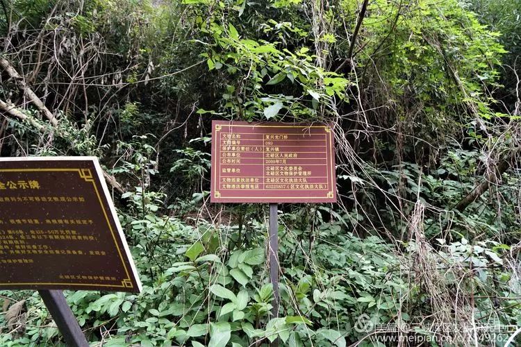 北碚复兴镇最近的视频,重庆市北碚龙门桥