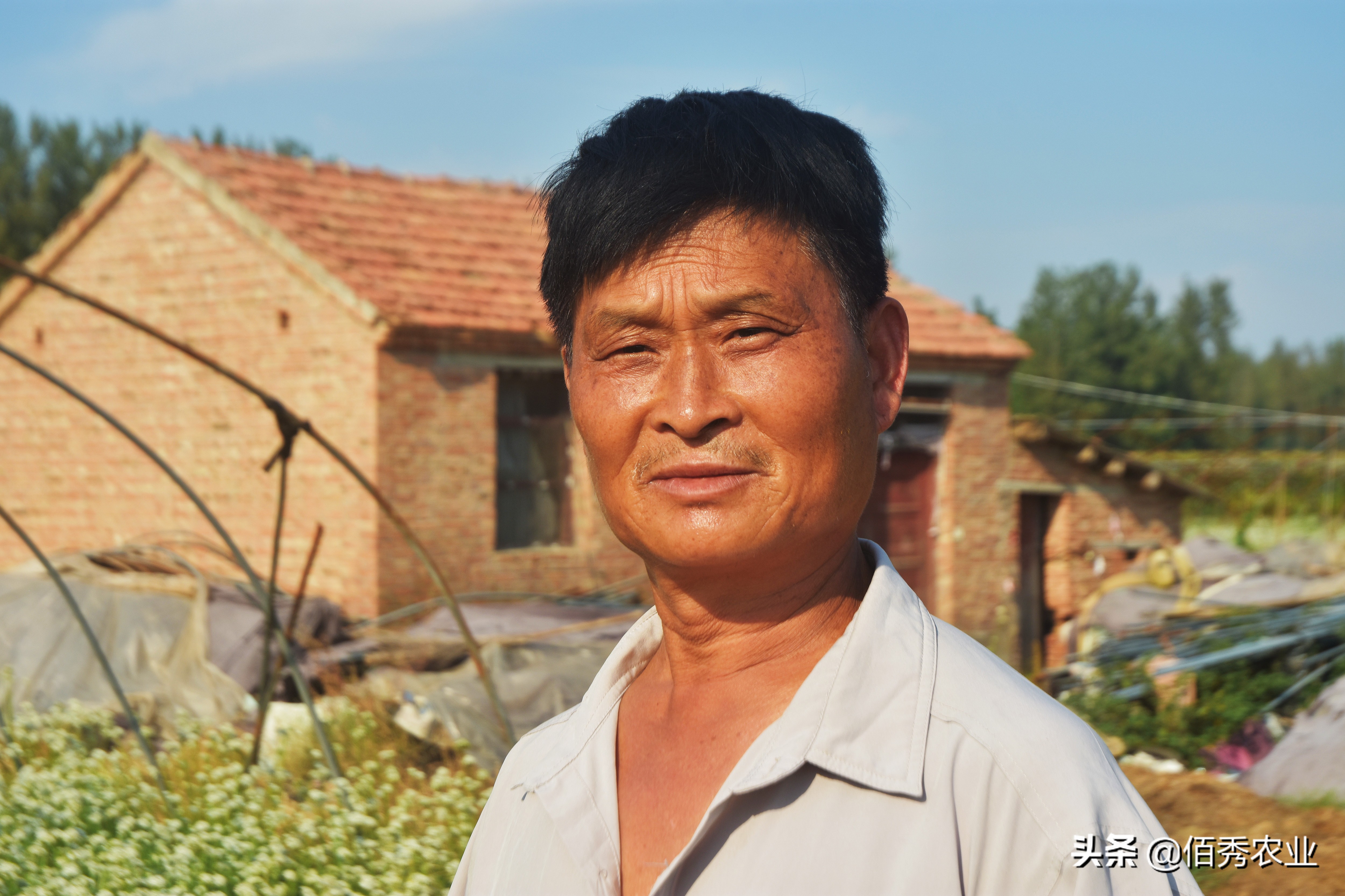 农村人怎么创业致富门路有哪些,2023年致富带头人都有什么专业