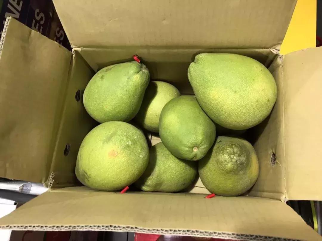 进口的水果有哪些,进口水果价格高的解决办法