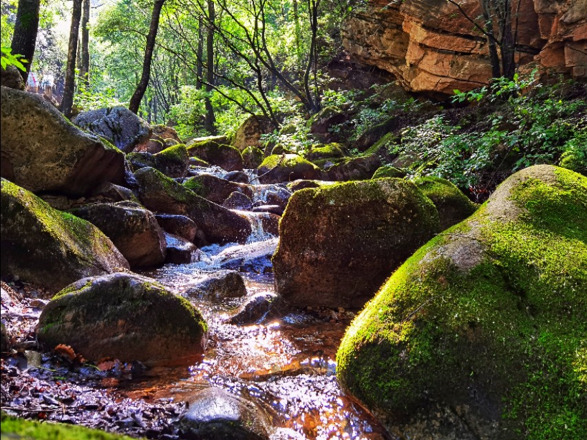 驼梁‖一处来了就会让你爱上的地方