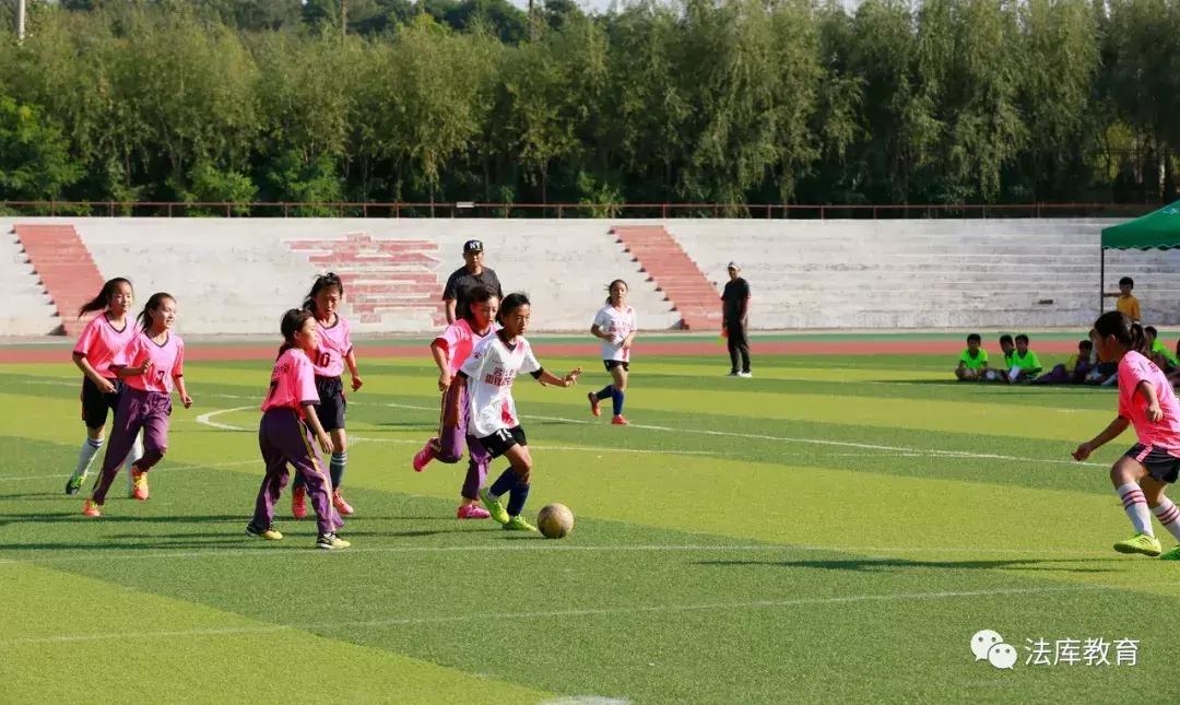 青少年足球联赛沈阳,2024沈阳市中小学足球联赛