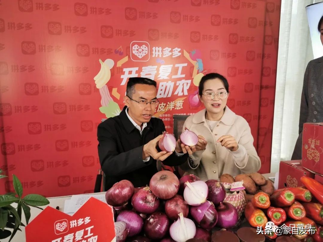 蒙自电商怎么入门,交易额超千亿电商数量