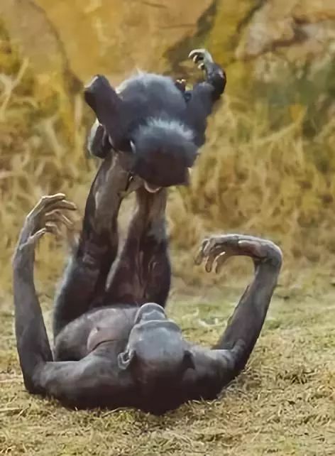 发现被别人偷拍照片,偷拍别人的照片是否违法