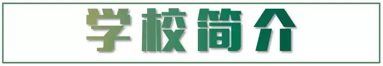 走进校园深度采访,南京高中采访