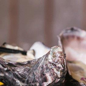 重量级大咖,重量级大咖云集