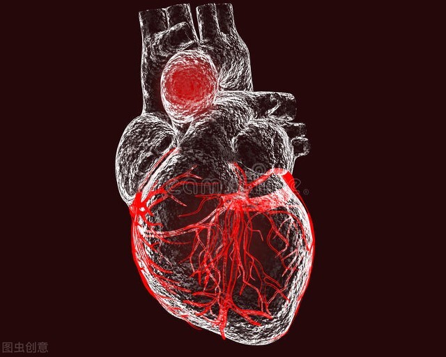 心血管活血化瘀中成药,活血化瘀养心神养心血