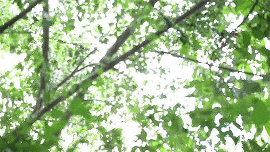 玉溪师范学院凤凰路134号乐队,玉溪师范学院的故事