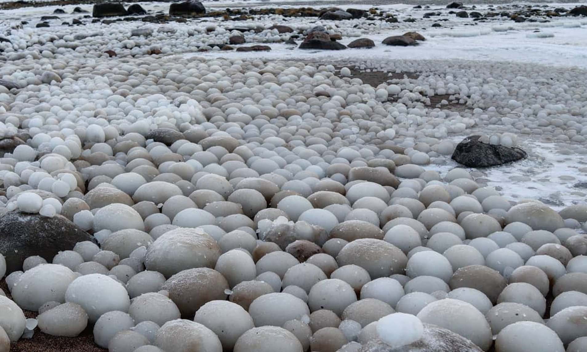 海滩石头上密密麻麻尖尖的是什么,海滩发现奇异石头
