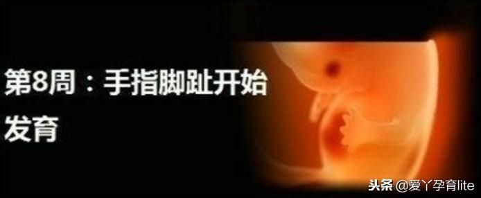 37周到40周做些什么产检,孕期产检知识大全