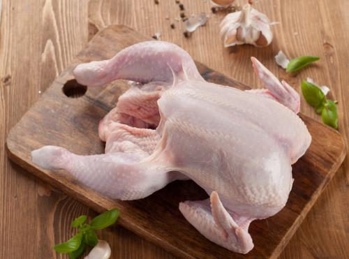 与鸡相关的冷知识,和鸡有关的100个小知识