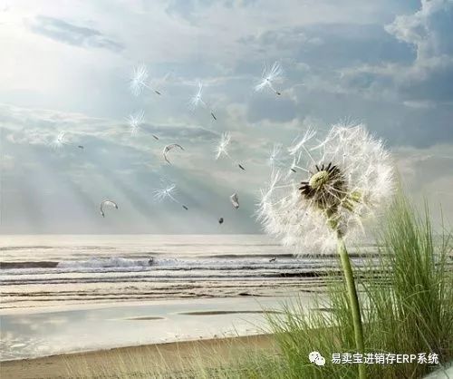 微商个人软文推广方案,微商软文写作技巧视频