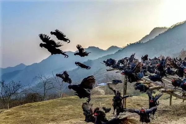 陕西自古乃兵家必争之地,略阳必争之地