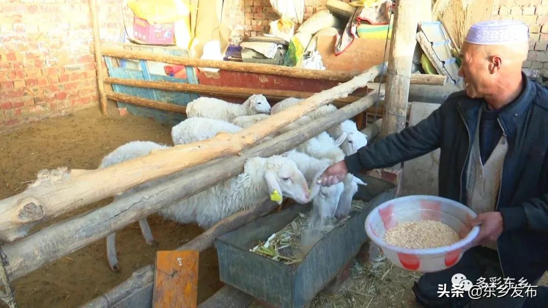 韬畫蹇楀潥涓嶅繕鏈府鎵朵埂浜插悓鑷村瘜,韬畫蹇楀潥涓嶄綆澶磋劚璐嚧瀵屽媷浜夊厛