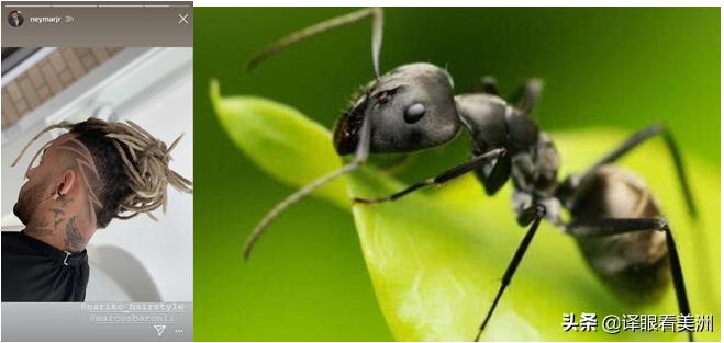 足坛绝代双骄梅西发布图片,足坛双骄照片