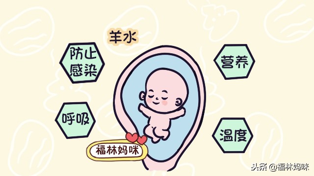 胎宝宝最害怕新手爸妈做哪些事,胎宝宝怕什么孕中期