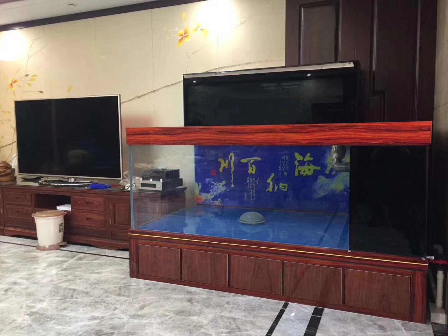 鱼缸养锦鲤鱼的方法和技巧,鱼缸新手养锦鲤鱼的正确方法