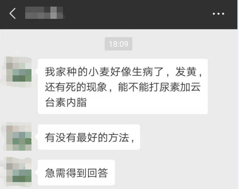 小麦根腐病的防治最佳时间,小麦出现根腐病后怎么办