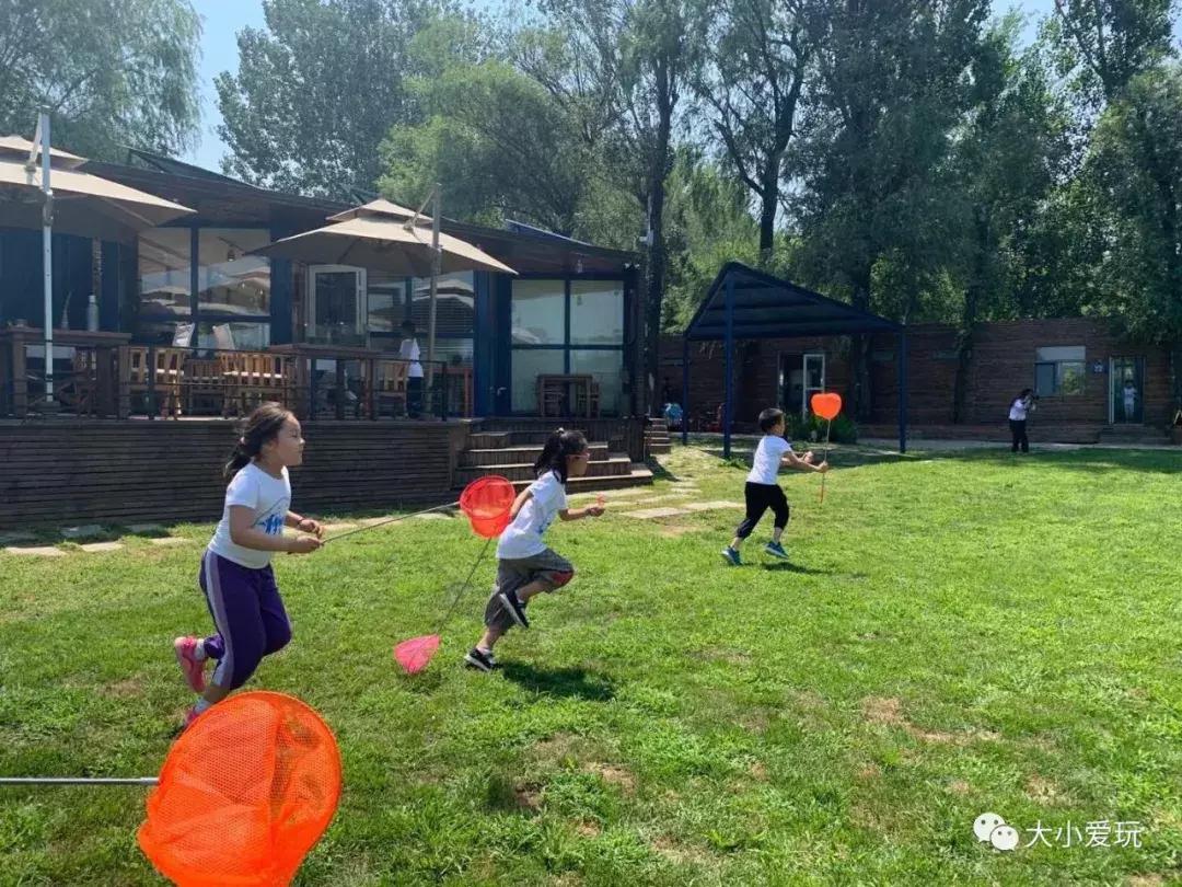 想了解孩子夏令营的营地生活,全国夏令营十大排名户外体验