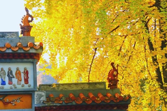 5大校区,湖南院士最多的大学